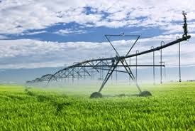 Irrigation networks